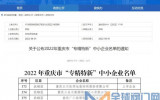 沐鸣2注册测速_川仪十七厂入选2022年重庆市